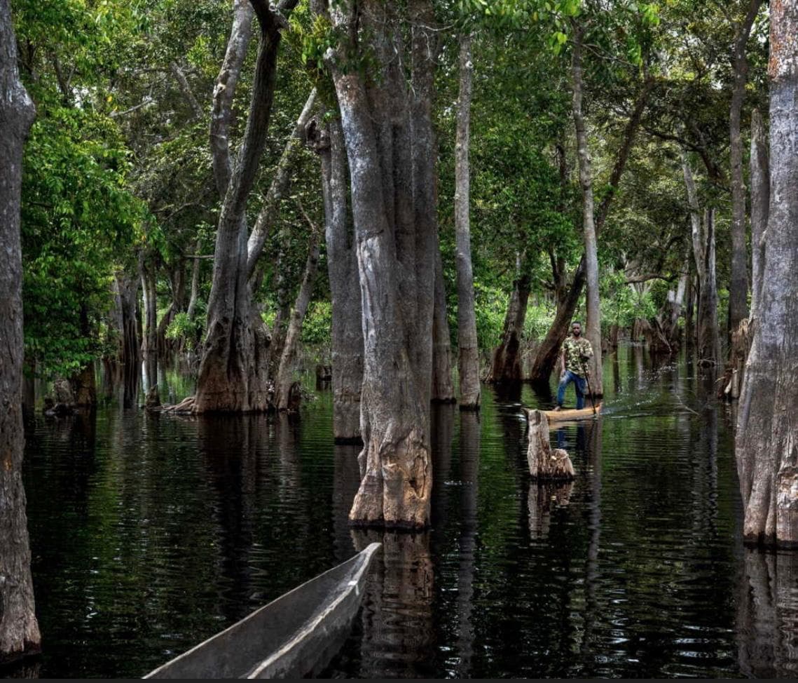 Biodiversité dans le monde : Les zones humides ,un patrimoine exceptionnel