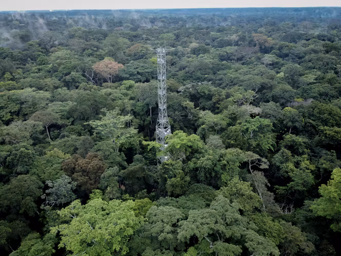 CREDITS CARBONE EN RDC : entre opportunités climatiques et vide réglementaire